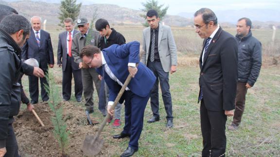 Ağaçlandırma Projesi